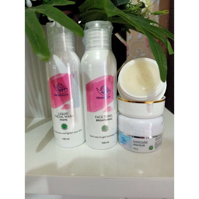 PROBEAUTY PAKET FLEK GLOW