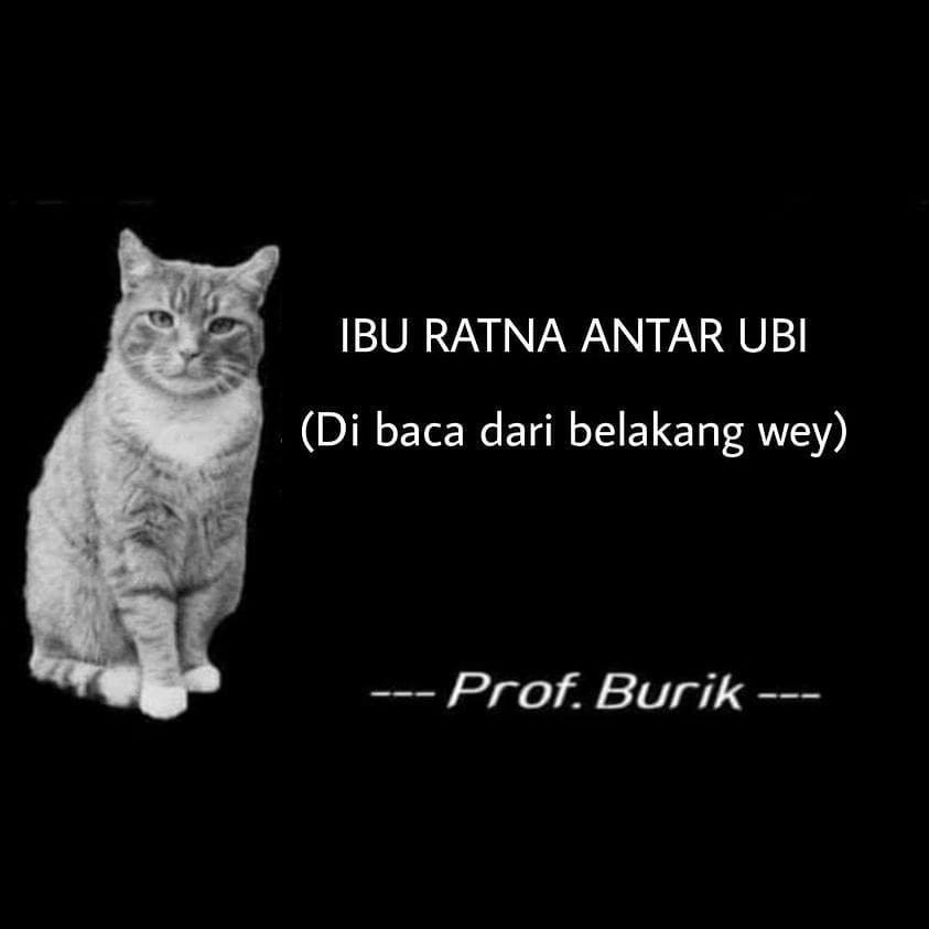 Waterpass Magnet 60cm Nankai