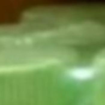 READY STOCK lumpuh sendi tulang kalek ayam merpati obat sayap vitamin tarung ayam Murah