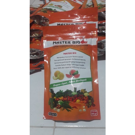 MASTER BIG pupuk pembungaan & pembuahan