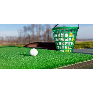 Rumput sintetis golf 25cm x 25cm - rumput sintetis mini golf - rumput palsu