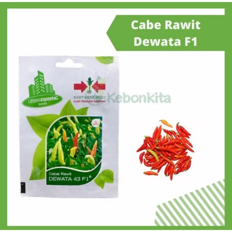 Benih Bibit Cabe Rawit Dewata F 1 (Cap Panah Merah)