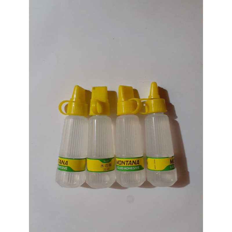 

LEM CAIR- MONTANA - 22ML