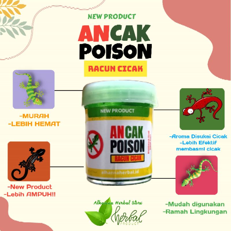 racun cicak HERBAL,racun cicak ampuh,racun cicak racak,anti cicak,Ancak poison,Racak,Racak herbal,Pe