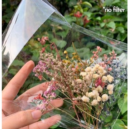 MIXED Dried Flowers (25-30 Tangkai)