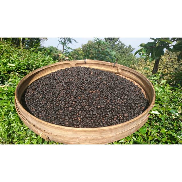 

Kopi muria robusta perkilo