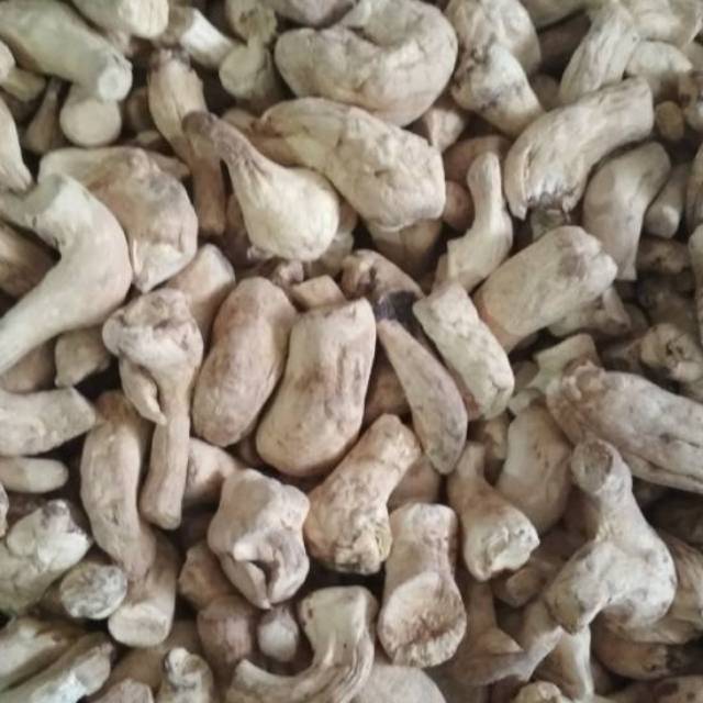 

Kaki Jamur Kering Size L 100 Gr, 200 Gr