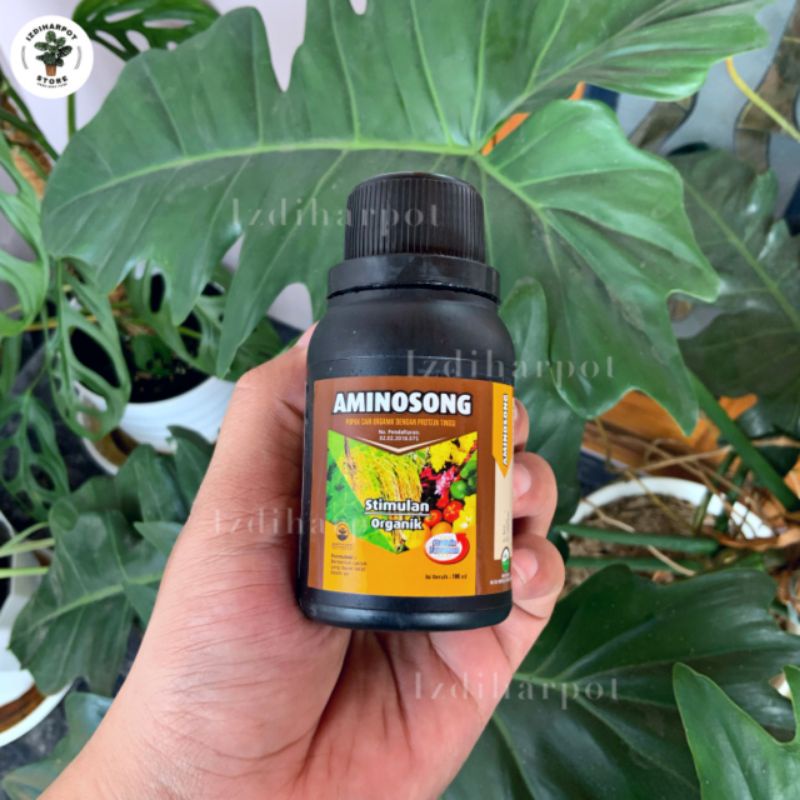 PUPUK CAIR ORGANIK AMINOSONG 100ML ASAM AMINO CAIR ORGANIK - AMINOSONG