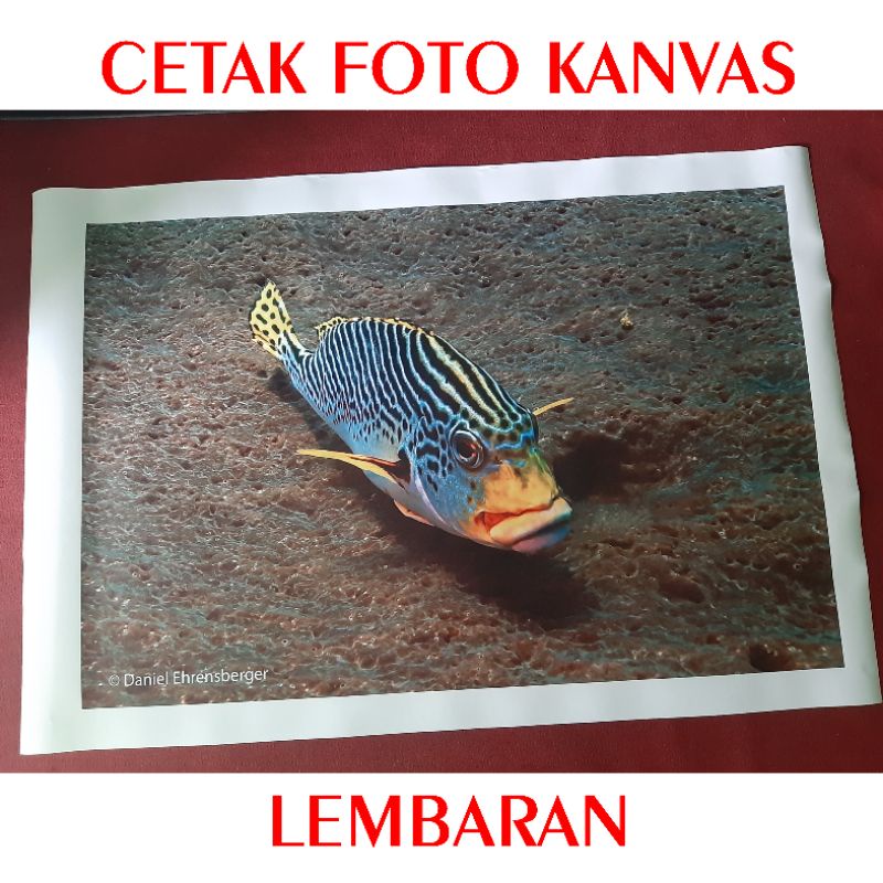 Cetak Foto Kanvas Lembaran (Tanpa Rangka Kayu)