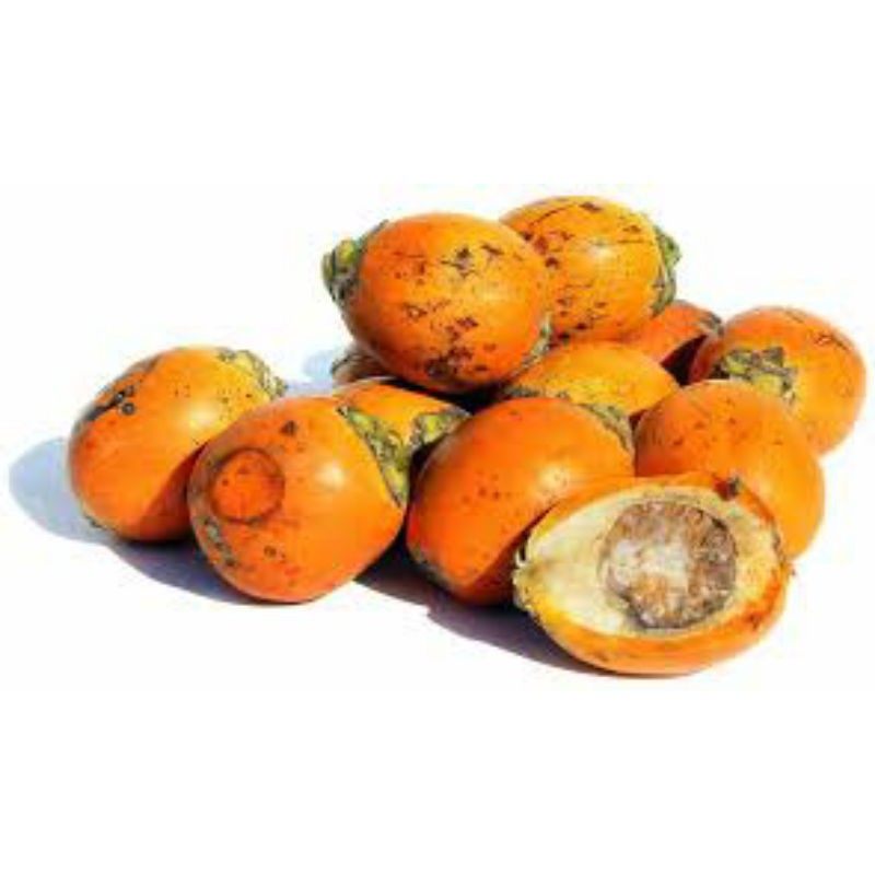 

Pinang tua