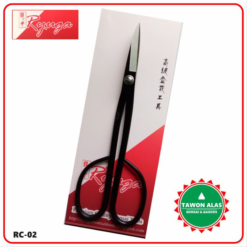 Gunting Bonsai, Gunting Pruning, Ryuga