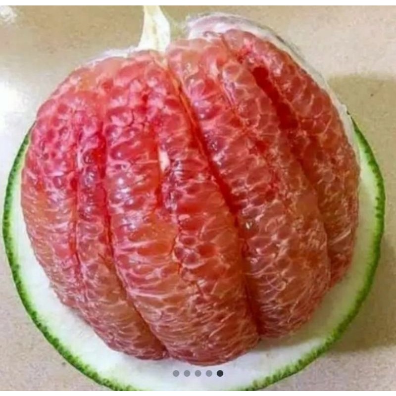 

Jeruk Bali Honey Pomelo