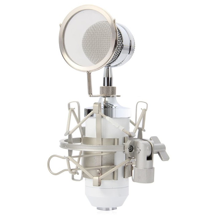 Mic Condensor BM 8000 with Shock Proof Mount and Anti Wind Pop Filter