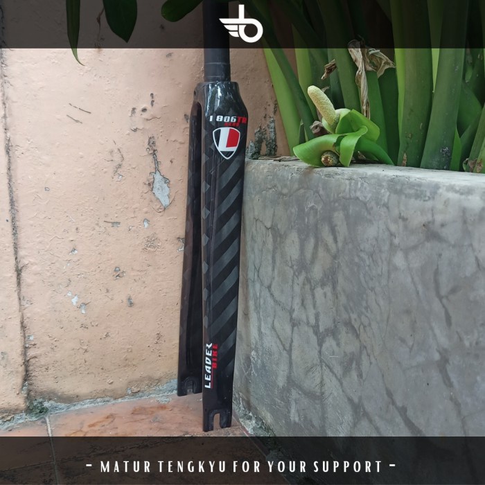 Leader Aero I806 Fork