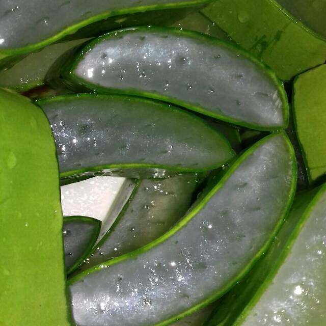 aloe vera gel kiloan untuk hand sanitizer lebih pekat sudah ada izin edar resmi by Oke sabun suplayer