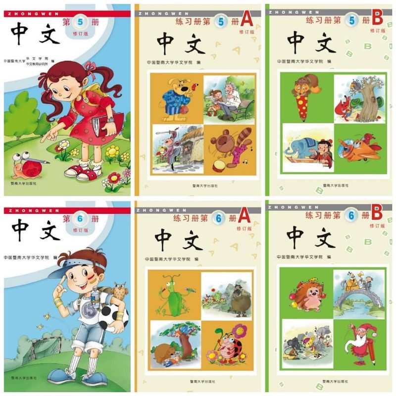 Paket Belajar Bahasa Mandarin Zhongwen Textbook dan Workbook (36 Judul PDF)