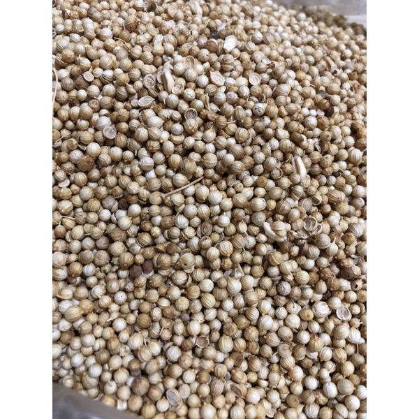 

Ketumbar / Bumbu Dapur / Bahan Masakan / Rempah / Rempah Indonesia / Coriander