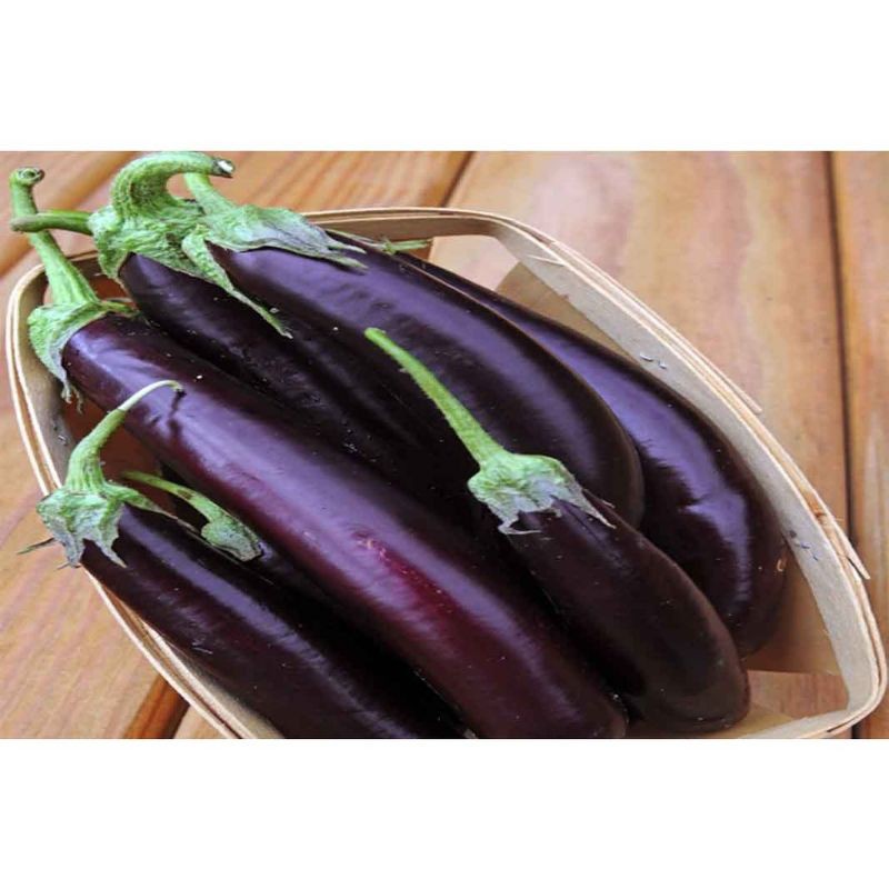 

SAYUR TERONG UNGU 500gr dan 1kg