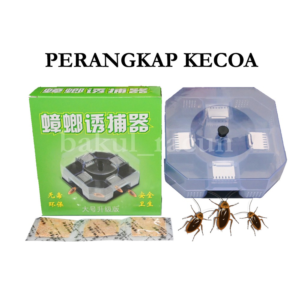 Perangkap Jebakan Kecoa Cockroach Trap