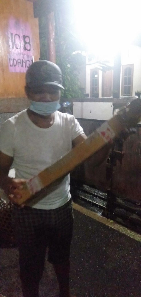 Tanaman Hias Caladium Bercak Merah Keladi Bercak Darah Garis Putih