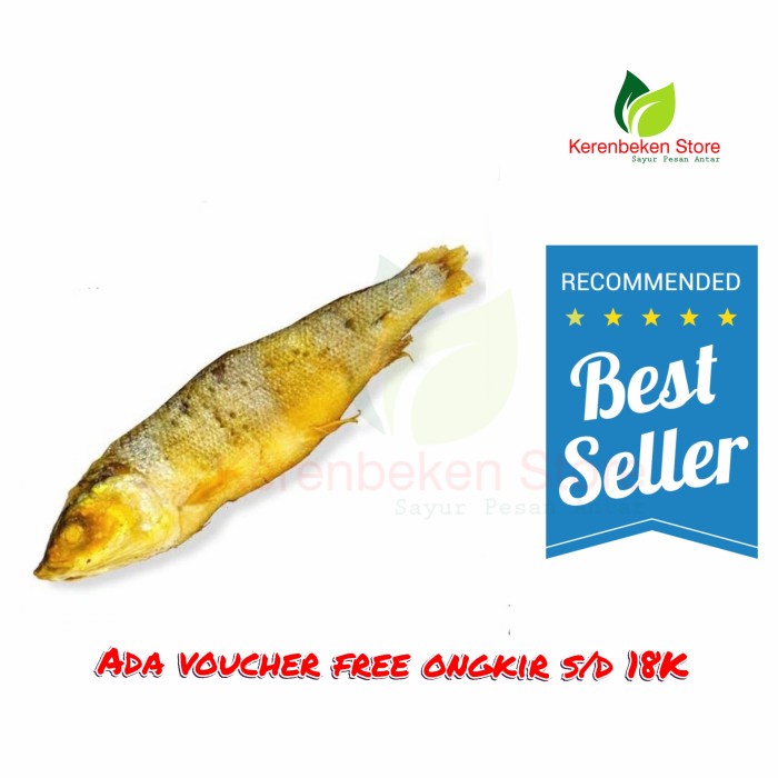 

Bandeng presto per ekor