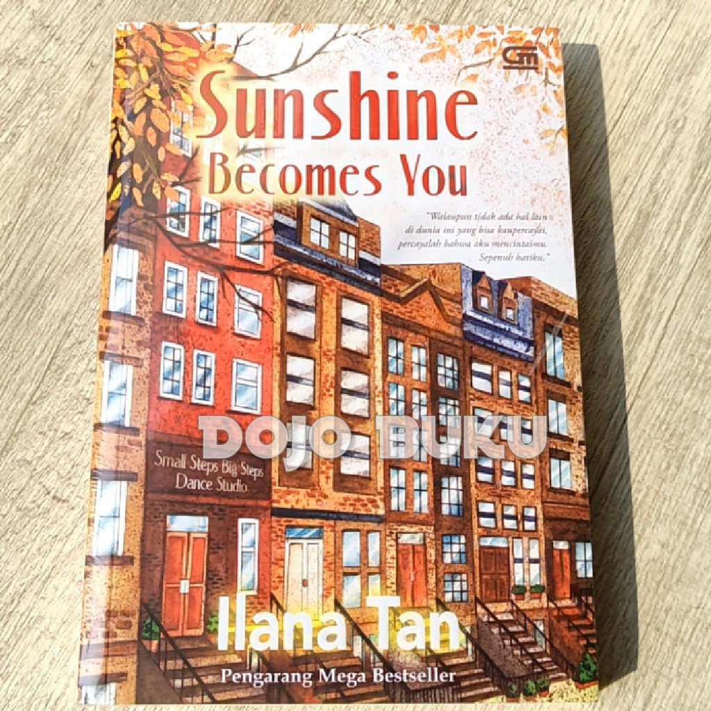 Sunshine Becomes You by Ilana Tan