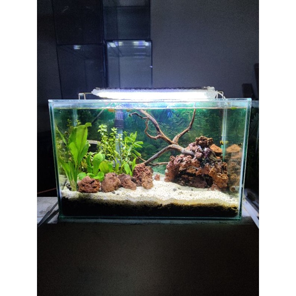 Aquarium Full Set Aquascape 40H