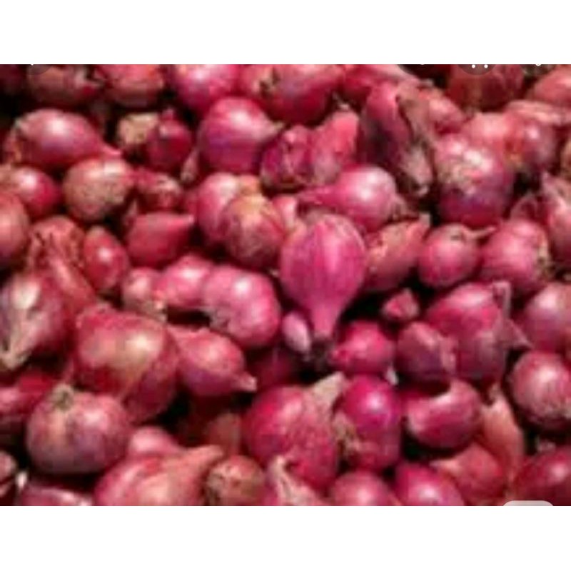 

bawang merah 1000gr