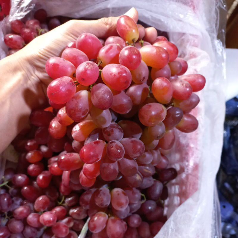 

Anggur crimson tanpa biji manis