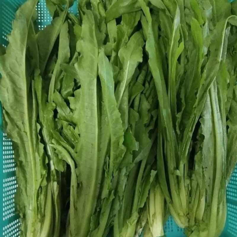 

Sayur Siomak/Fumak Hijau 1 Kg Fresh