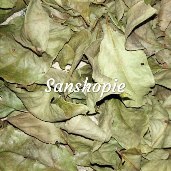 

Daun pohon salam kering 100 gram