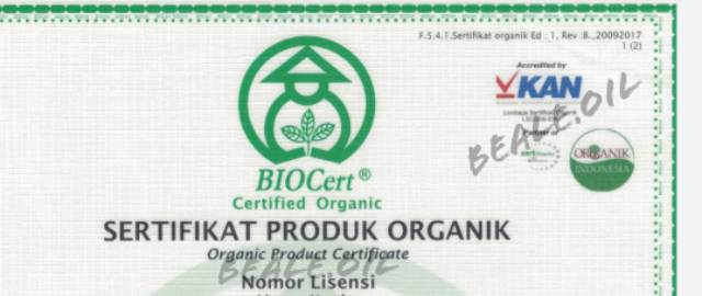 Organic Palm Sugar ada hasil test lab&amp;sertifikat organik Gula Semut Bubuk Kristal aren bubuk organik