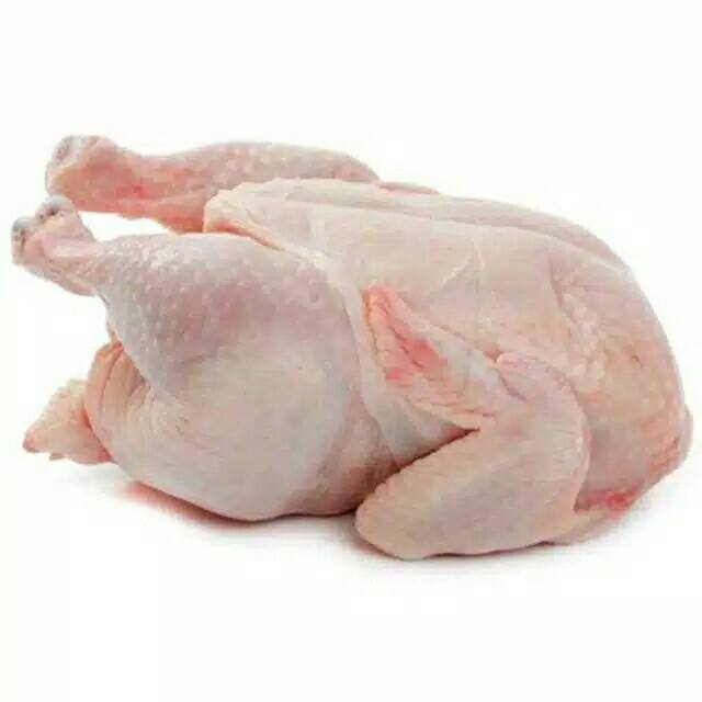 

AYAM POTONG AYAM BOILER MURAH, AYAM SEGAR UKURAN SEDANG