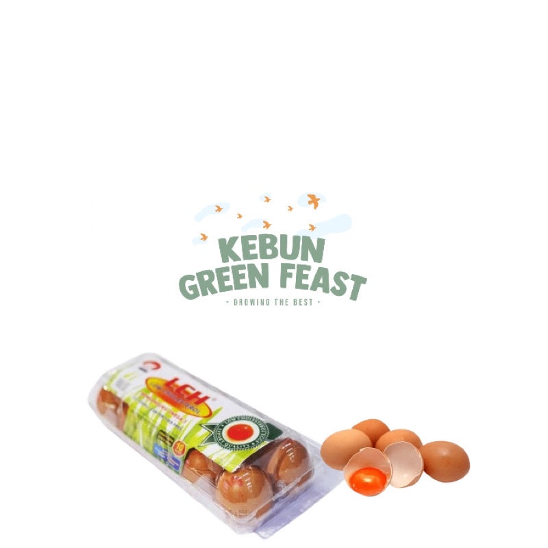 

Telur LCH / Low Cholesterol ( 10 butir )