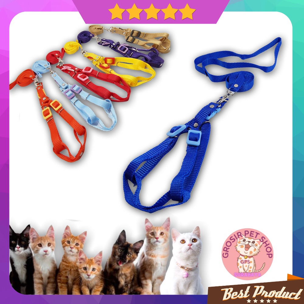 Tali harnes kucing / harness kucing model Y premium motif polos