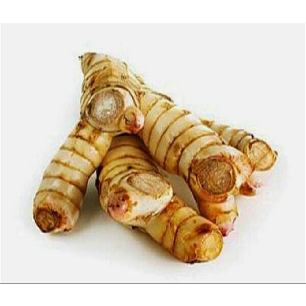 

Lengkoas