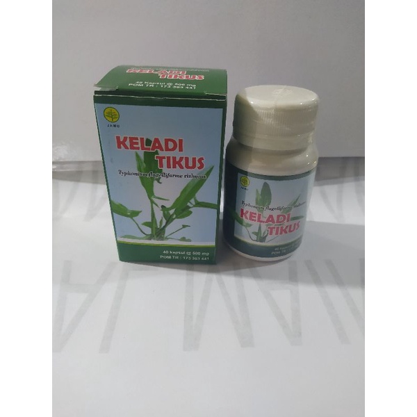 obat kanker,kangker,kapsul keladi tikus 40 kapsul @ 500 mg