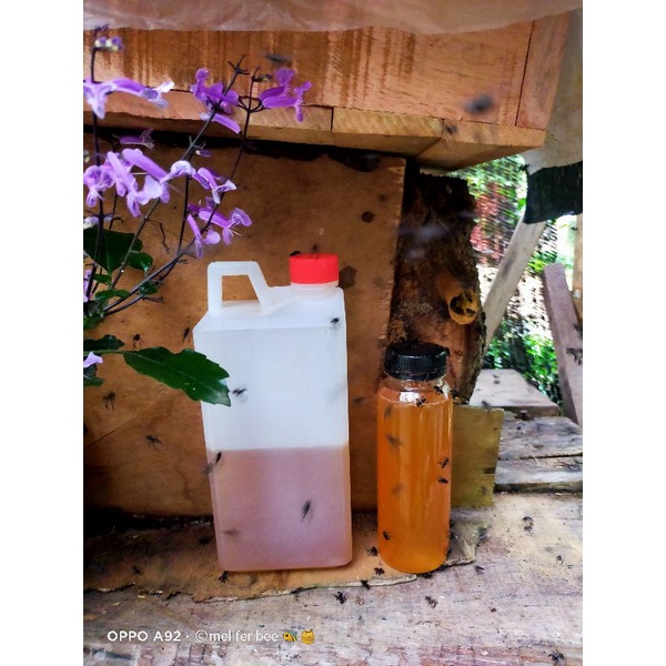 

Madu Galo"/Trigona/kelulut 1kg