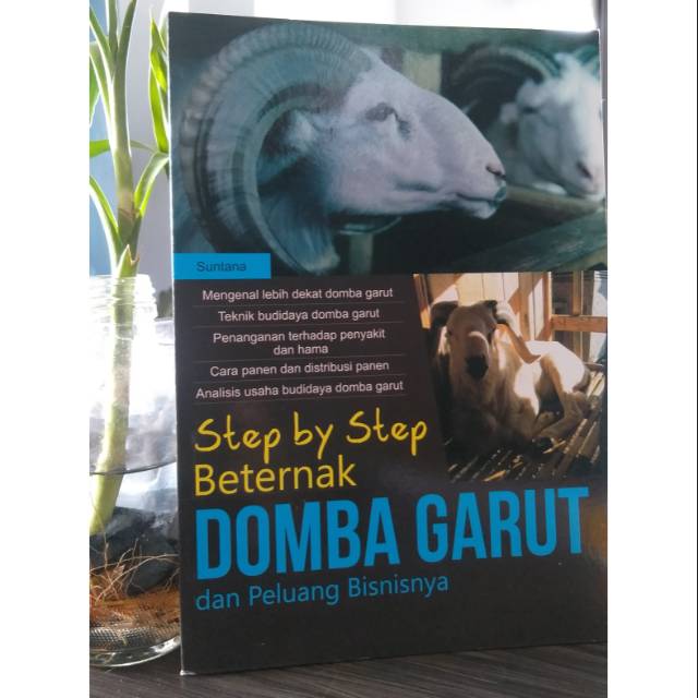 Step By Step Beternak Domba Garut Dan Peluang Bisnisnya - Suntana