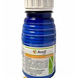 Fungisida Anvil 50 SC 250 ml