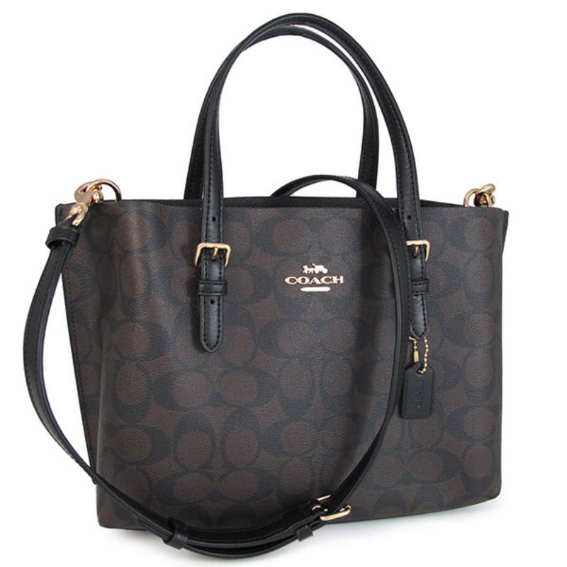 Coach Tote in Signature Canvas Mollie Brown (C4250)