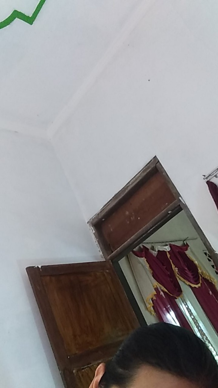 Tey-17 Batik Wanita Asj Sa Hrb026 Kenongo Kemeja Tosca Pendek