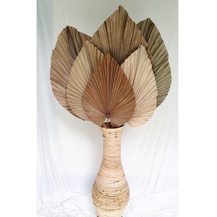 Daun Palem kering terbaik, Daun Palem kering Dekorasi, Daun Palem hias, Daun Palem mini jumbo
