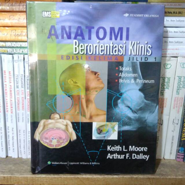 ANATOMI BERORIENTASI KLINIS