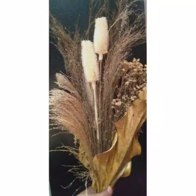 

Paket Buket Besar Bunga Kering Rustic