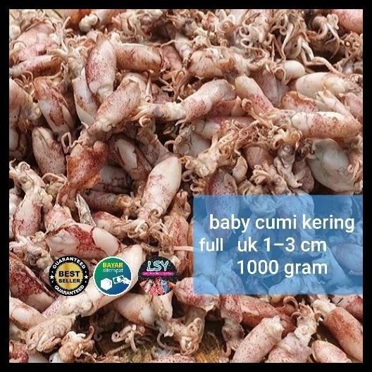 

DISKON TERBATAS !!! IKAN ASIN CUMI REBUS KERING / BABY CUMI 1KG TERLARIS