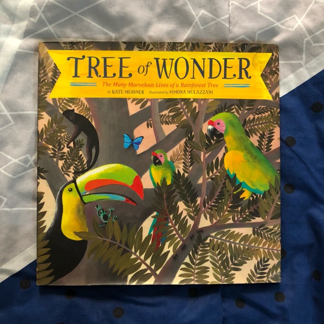 Preloved Children Book Buku anak Tree of Wonder