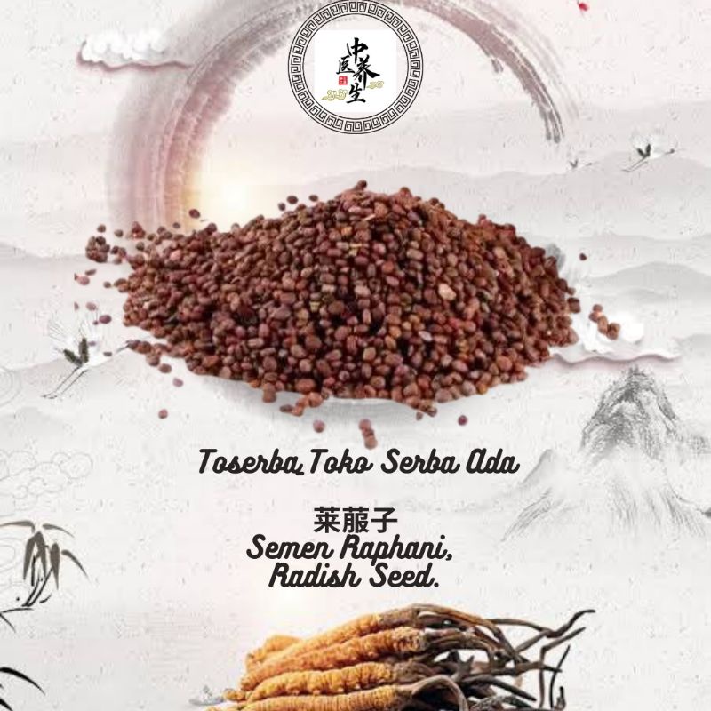 

100gr Herbal Lai Fu Zi 萊菔子 Raphanus Sativus Radish Seed Semen Raphani