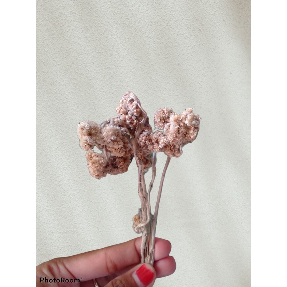 

TERLENGKAP Hiasan Parcel Pernikahan Hiasan Parce Ucapan Selamat Hiasan Parcel Imlek Hiasan Parcel Nikah Hiasan Parcel Bunga Kering Hiasan Parcel Pita Hiasan Parcel Ulang Tahun Hiasan Bungkus Kado Hiasan Hampers Parcel Mania Kebumen