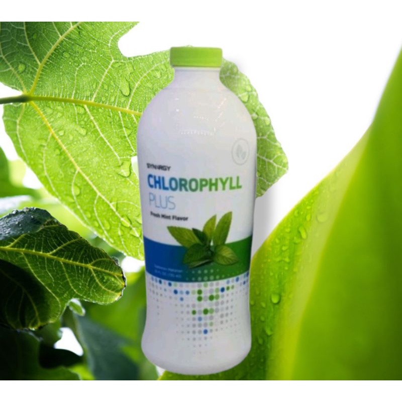 

CHLOROPHYLL Sinergy World Wide